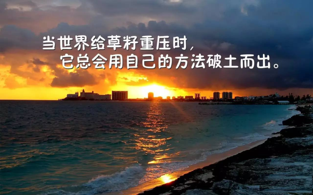 “励志鸡汤”的兴起