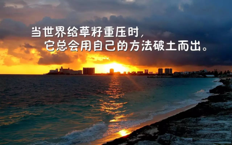 “励志鸡汤”的兴起